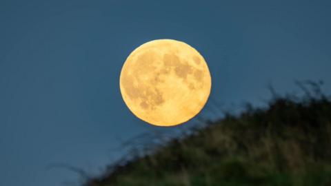 The supermoon is orange and there is a green grassy bank in the foreground.