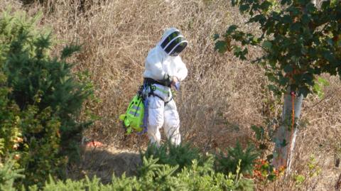 A person wearing a protective suit and face shield stands in dry vegetation beside trees and shrubs, carrying safety equipment in a rural outdoor area.