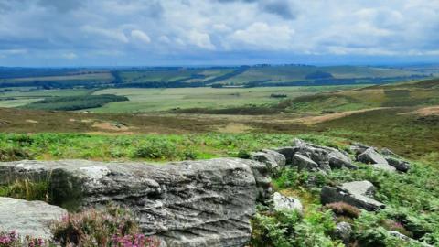 A picture showing the dramatic landscape of the Simonside Hills on the Rothbury Estate. In what appears to be a picture postcard of patchwork countryside, there are rocks at the front of the image with shrubbery. The sky is cloudy.