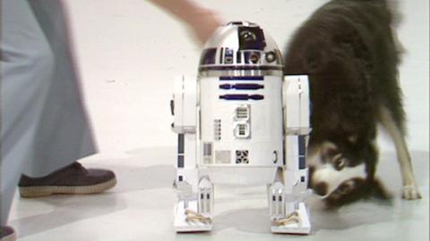 Shep attacking a model of R2D2