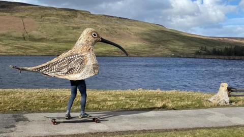 A man is dressed in a large speckled brown curlew costume featuring a long beak, with his legs visible underneath. He's wearing navy trousers, grey socks and grey trainers with yellow detailing. Hes's standing on a skateboard, and is on a tarmac path by a grass bank and a lake. There are rolling hills in the background, and the weather is cloudy. There's a second curlew costume sitting on the ground to the right of the picture.