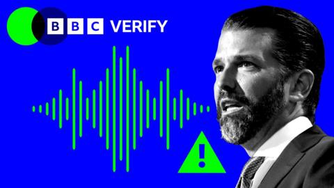 An image showing a waveform next to Donald Trump Jr. It is imposed over the BBC Verify colours. 