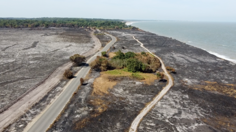 An aerial image shows the damage to Dunwich Heath. A huge area is scorched black, grey and white. A single patch of green grass and trees stands in the middle of the wasteland, next to a road. "Firebreaks" have been scraped into the heath on either side of the clump of trees.