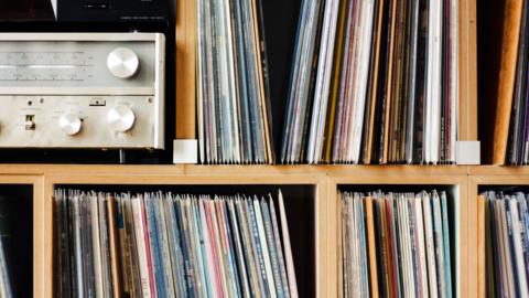 Shelf of vinyl records