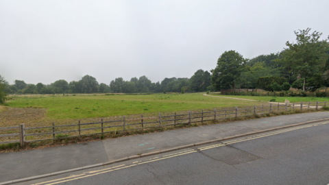 An area of parkland with between a road and trees