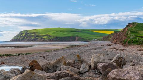 A general view of St Bees head. The image is taken from a rocky part of the beach while the tide is out, exposing part of the sandy seabed. The sun is shining on the green grass on St Bees head, with a yellow rape field on the lower slope.