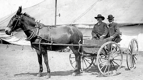 Cody holds the reins of a horse-drawn cart, whilst to his left Salsbury is looking at the camera. Behind them is a marquee housing the show's performers and animals