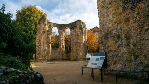 A general view picture of part of the Abbey Ruins, Reading.