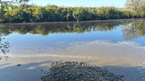 a murky river with trees visible on the other side, under a clear pale blue sky