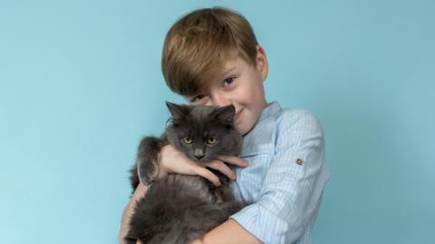 A boy with freckles across his nose and light brown hair in a sweeping fringe across his forehead looks into the camera. He is standing in front of a light blue background and wearing a light blue and thin white striped shirt. He is holding a medium sized dark grey fluffy cat in his arms, hugging it close to his chest. The cat is looking into the distance and has yellow eyes