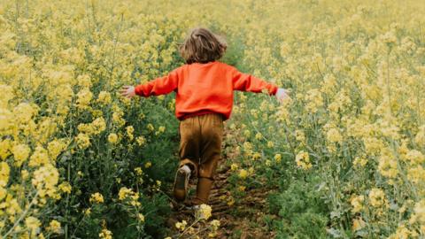 A child - unclear what gender - runs through a field of rapeseed