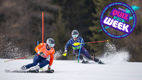 TWO SKIERS IN SPEED SKIING GEAR AND HELMETS SKI AROUND A SLALOM POLE WITH TREES AND MOUNTAIN THE BACKGROUND