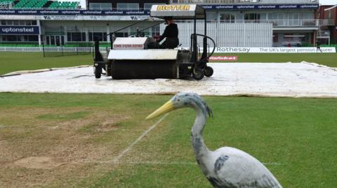 Mopping up at Leicestershire