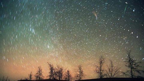 Thousands of meteors fly through the sky making swirls. Dark, bare trees stand in front of the bright blue and orange sky.