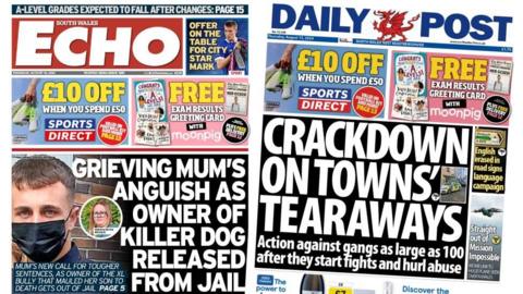 South Wales Echo and Daily Post
