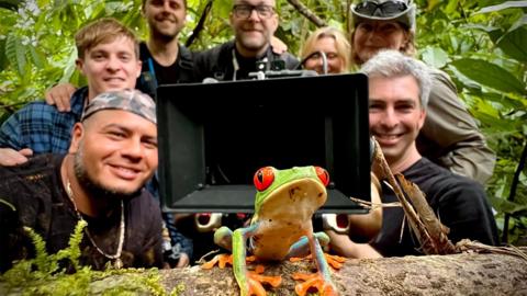 The Dolphin team in Costa Rica, with a very friendly red-eyed tree frog! 