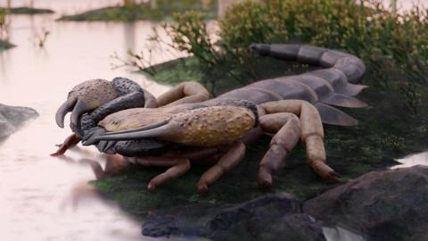 An artist's reconstruction of what Praearcturus gigas may have looked like features two large pincers, and armoured black and beige body and several reticulated legs.