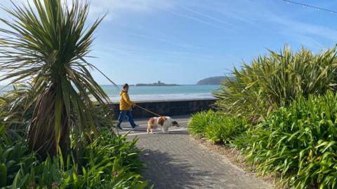 photo looking out to sea but with some greenery in the foreground and a person walking their dog. A headland in the distance