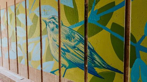 The mural has a large blue and yellow bird in its centre surrounded by blue tree branches and green leaves.