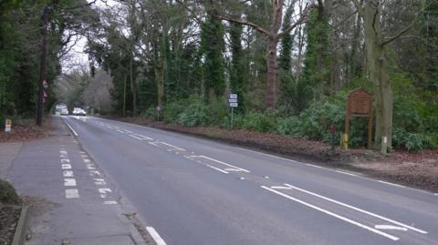 Another view of Avenue Road in High Kelling. Vehicles can be seen driving in both directions further up the road with various signs next to the road. Trees line either side of the road. 