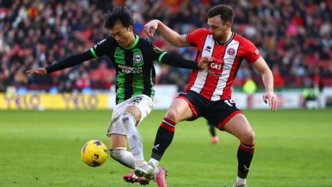 Sheffield United v Brighton