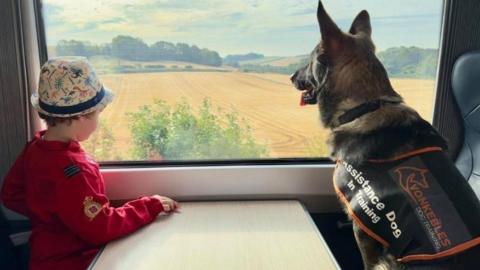 Bodhi on the left wearing a red jumper and a hat looking out of a train window. A German Shepherd is sat next to him with a jacket on that saying "assistance dog in training".