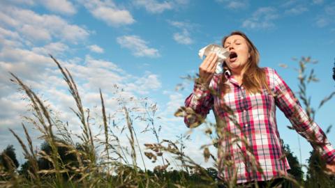Woman in a field of tall grasses about to sneeze