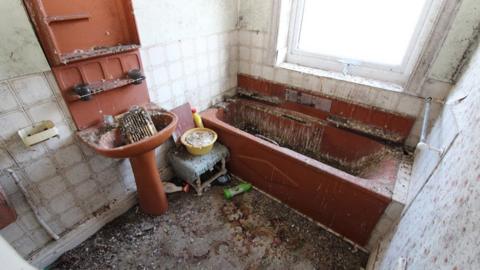 A view of the brown bathroom overed in pigeon droppings all down the brown bath and sink and stained carpet. There is a window above the bath and the room is half tiled in white tiles with a brown border