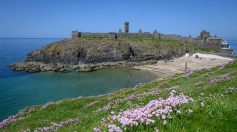 Peel Castle, which has fortifications surrounding a tower and other ruins. Fenella Beach is below it with part of Peel Hill covered in green grass and pink flower in the fore.
