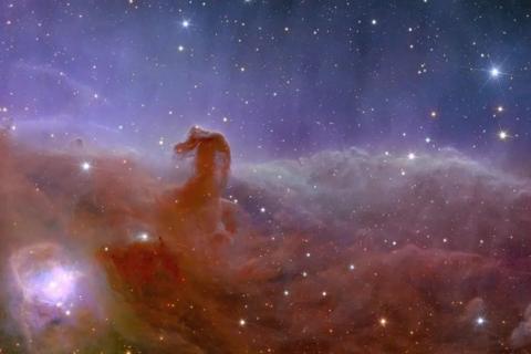 Image shows a picture captured by Euclid. It is called the Horsehead Nebula. It is a purple colour at the top of the image that fades into a dusty pink and orange colour. In the middle is a 'Horsehead' shape which is caused mostly by thick dust blocking the light of stars behind it.