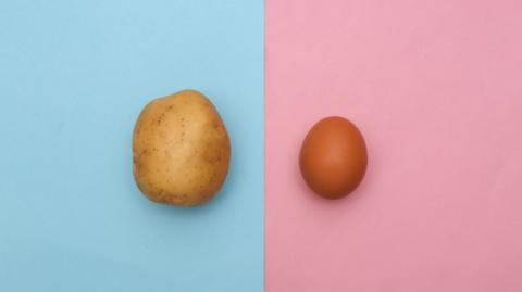 A raw potato on a blue background alongside an egg on a pink background