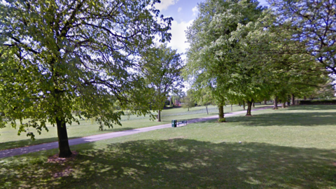A large park in sunshine with trees in leaf and a bench and bin alongside a pathwway