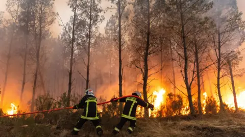 Firefighters tackle a wildfire in France.