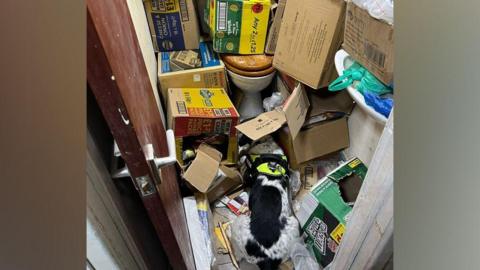 A police dog is next to a toilet, which is surrounded by boxes of different products.