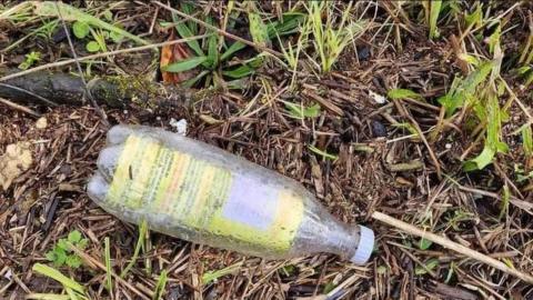 A close up shot of a bottle lying in reeds