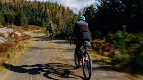 Two cyclists travel down a forest path, below a blue sky.