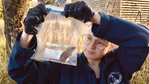 Hannah Le Morvan wearing gloves holds up a small mammal inside a clear bag for study, standing outdoors near trees and a shed with equipment visible nearby.