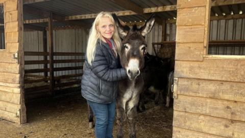 A woman with long blonde hair with her hand on a donkey. The donkey is in a shed and there is hay on the ground. 