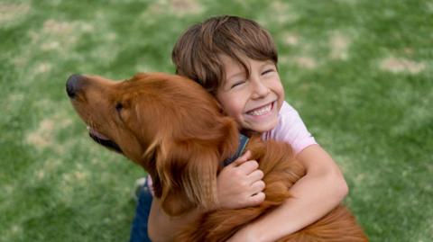 a child hugging a brown dog