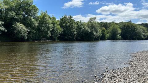 The River Wye, with pebbles in front of its shore, and trees behind. The sky is blue and cloudy.