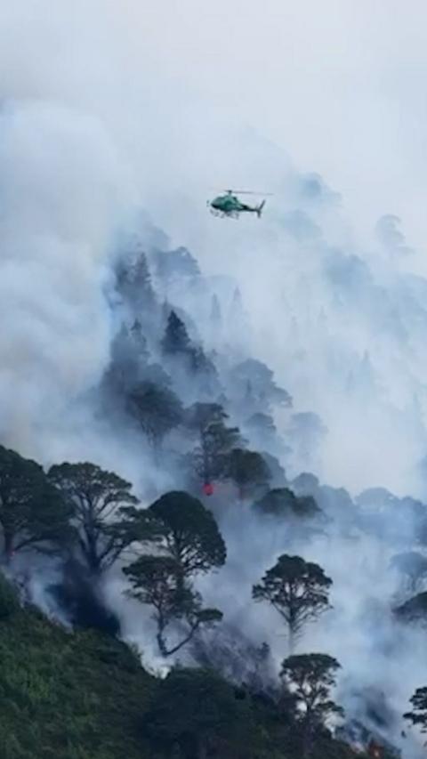 A helicopter flying over a wildfire in the Cairngorms