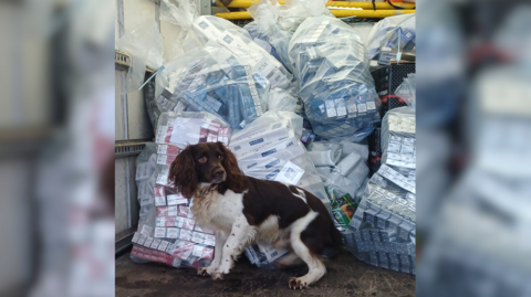 The image shows boxes of tobacco in the back of a van with a small dog in front of them. The tobacco boxes are inside big zip-tied plastic bags.