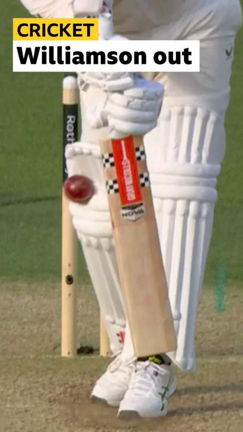 Kane Williamson