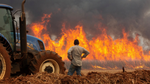 A farmer watches on as a fire at a sugar-cane plantation near Dumon, rages