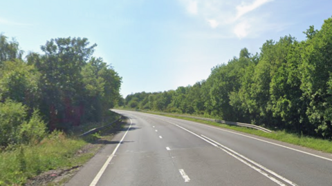 A strectch of grey tarmac road with white markings running through the middle and trees on either side.