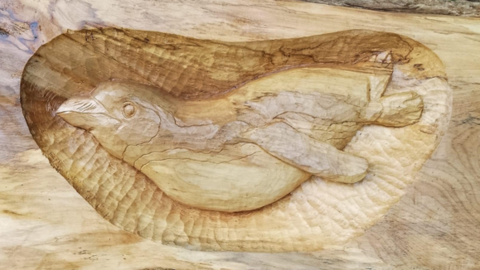 A wood carving depicting Rosie the penguin swimming  