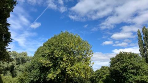 Green trees stand tall and broad, set against a blue sky with scattered clouds.