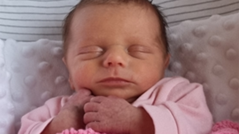 Darcy Leigh Jefferson, wearing a pink baby grow lying in a cot or moses basket