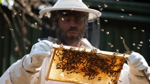A man with a grey beard. He is wearing a beekeeping suit and holding a frame covered in bees and filled with honeycomb. There are bees flying around him.