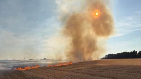 A farmer's field with a strip of fire down the middle, and smoke in the air.